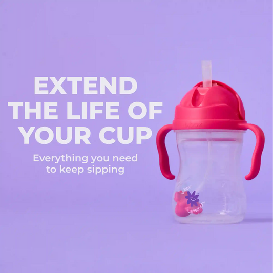 b.box + Lansinoh Replacement Straws + Cleaner